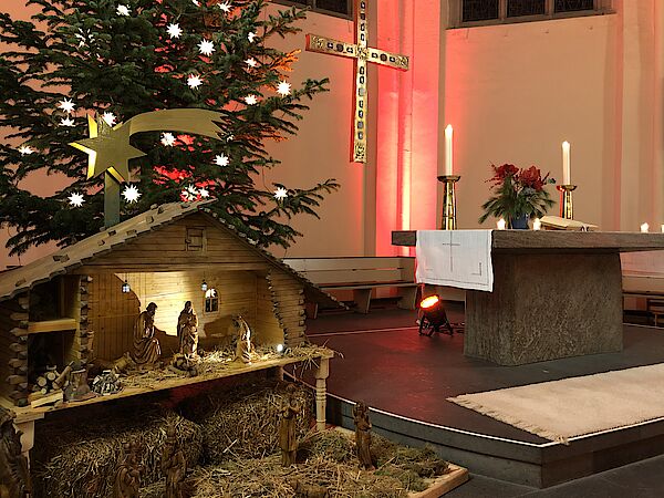 Weihnachtskrippe vor einem Tannenbaum und dem Altar der Kreuzkirche Bonn.